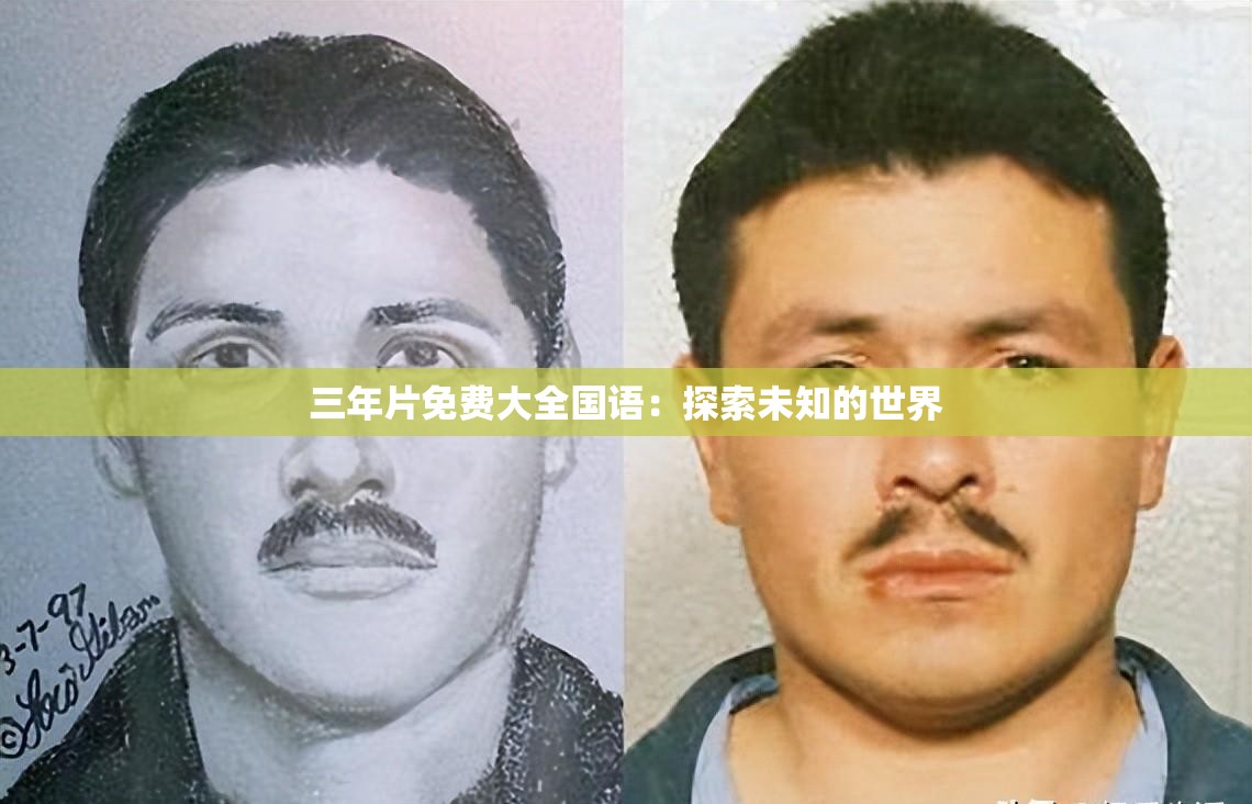 三年片免费大全国语：探索未知的世界