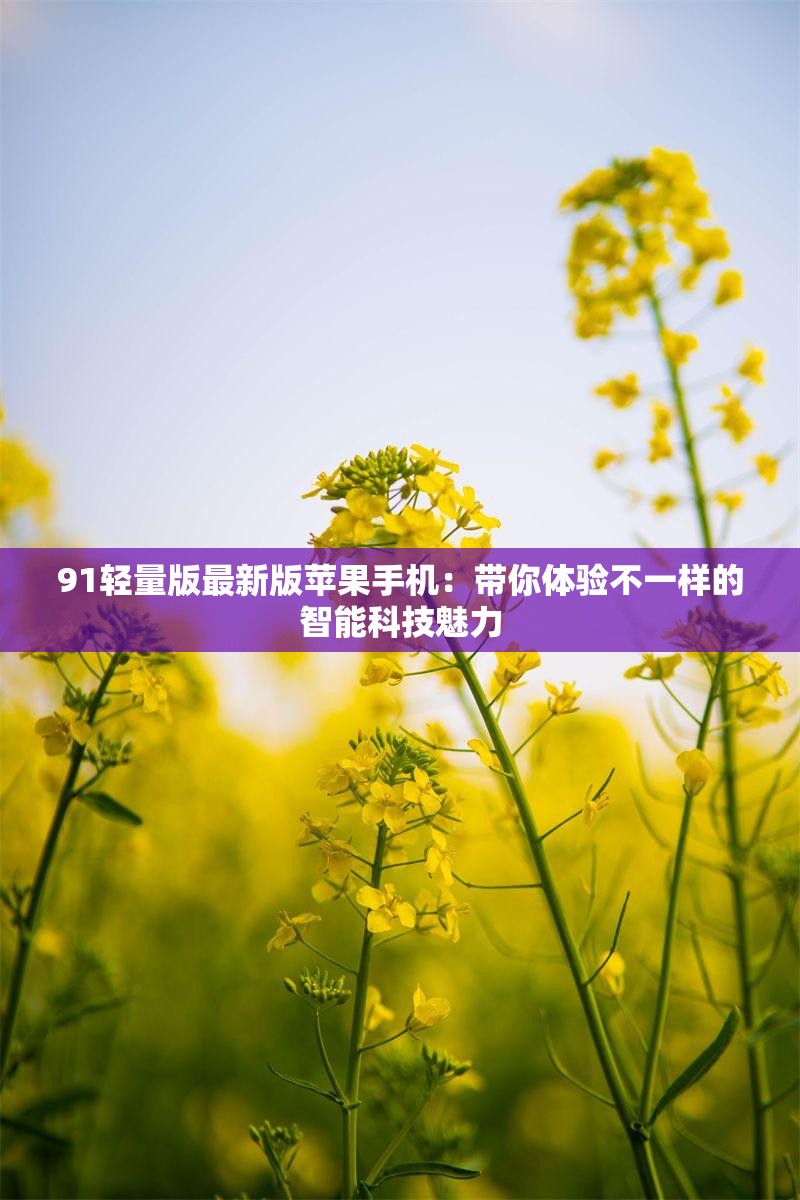 91轻量版最新版苹果手机：带你体验不一样的智能科技魅力