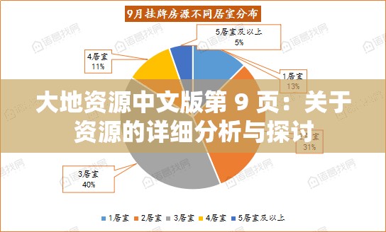 大地资源中文版第 9 页：关于资源的详细分析与探讨