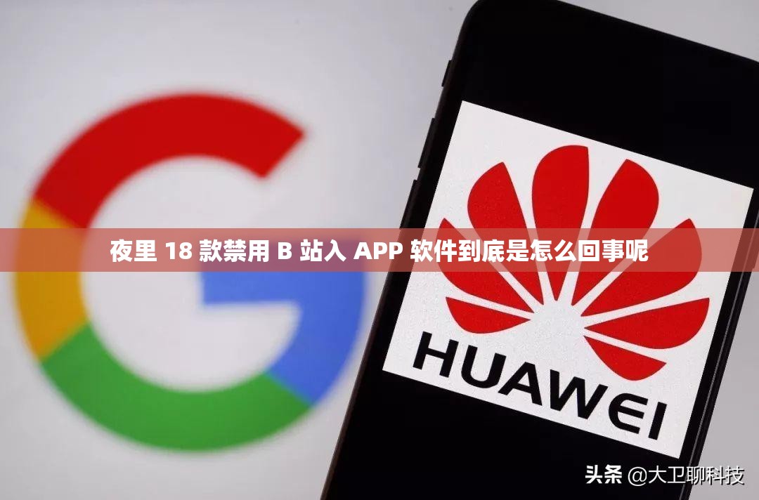 夜里 18 款禁用 B 站入 APP 软件到底是怎么回事呢