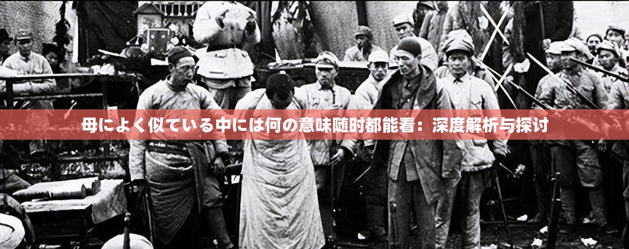母によく似ている中には何の意味随时都能看：深度解析与探讨