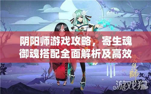阴阳师游戏攻略，寄生魂御魂搭配全面解析及高效资源管理策略