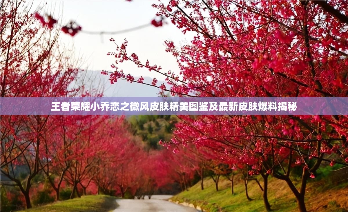 王者荣耀小乔恋之微风皮肤精美图鉴及最新皮肤爆料揭秘