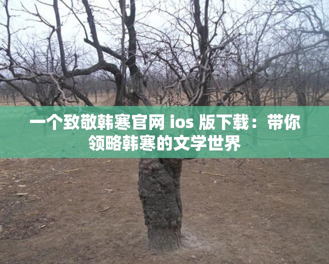 一个致敬韩寒官网 ios 版下载：带你领略韩寒的文学世界
