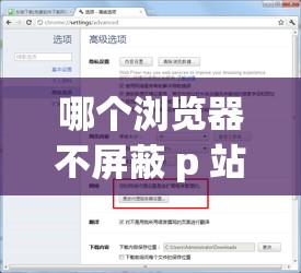 哪个浏览器不屏蔽 p 站：探寻那些可正常访问 p 站的浏览器