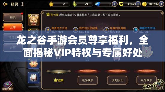 龙之谷手游会员尊享福利，全面揭秘VIP特权与专属好处