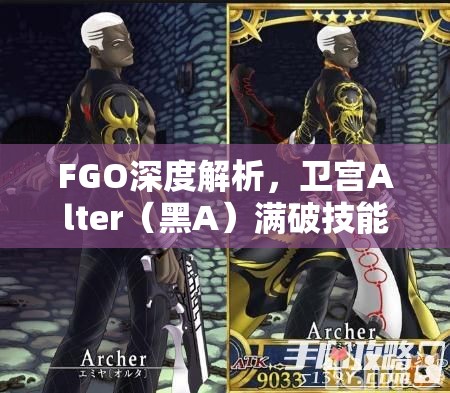 FGO深度解析，卫宫Alter（黑A）满破技能宝具图鉴及高效资源管理策略