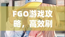 FGO游戏攻略，高效刷取狂之秘石与科学管理游戏资源的全面指南