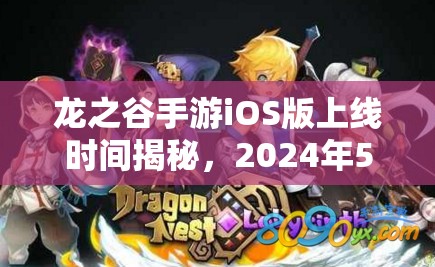 龙之谷手游iOS版上线时间揭秘，2024年5月21日及其对游戏资源管理的影响