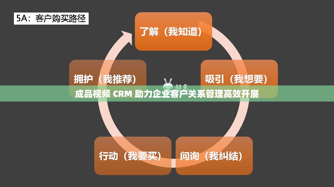 成品视频 CRM 助力企业客户关系管理高效开展