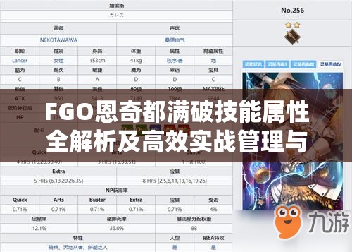 FGO恩奇都满破技能属性全解析及高效实战管理与使用策略指南