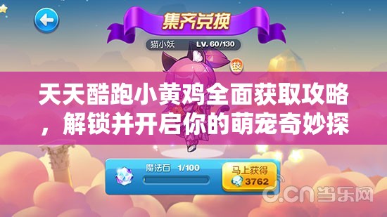 天天酷跑小黄鸡全面获取攻略，解锁并开启你的萌宠奇妙探险之旅