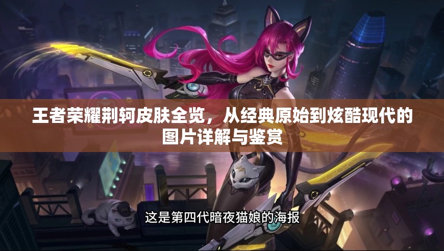王者荣耀荆轲皮肤全览，从经典原始到炫酷现代的图片详解与鉴赏