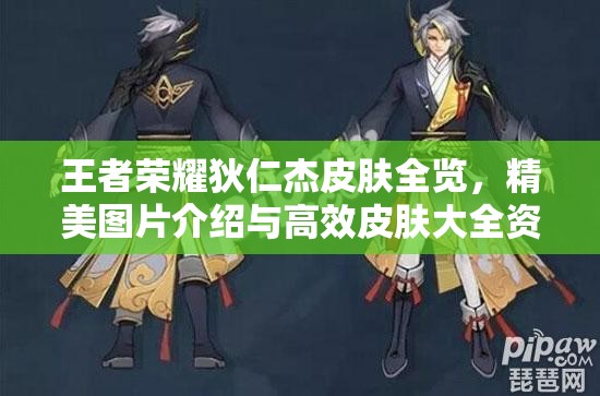 王者荣耀狄仁杰皮肤全览，精美图片介绍与高效皮肤大全资源管理艺术