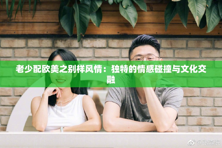 老少配欧美之别样风情：独特的情感碰撞与文化交融