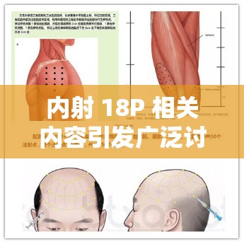 内射 18P 相关内容引发广泛讨论与关注