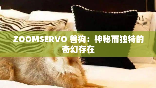 ZOOMSERVO 兽狗：神秘而独特的奇幻存在