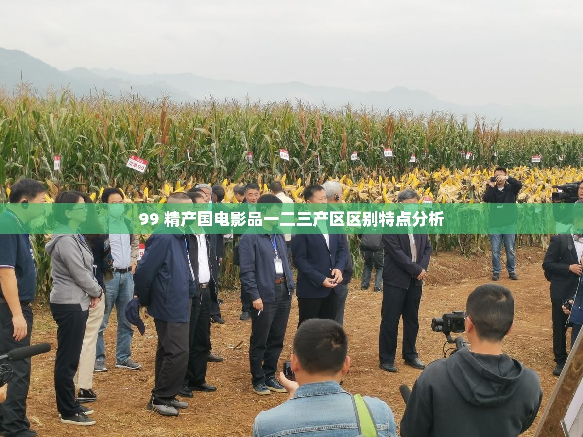 99 精产国电影品一二三产区区别特点分析