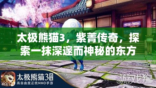 太极熊猫3，紫菁传奇，探索一抹深邃而神秘的东方文化韵味之旅
