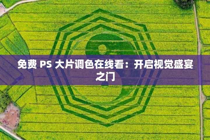 免费 PS 大片调色在线看：开启视觉盛宴之门