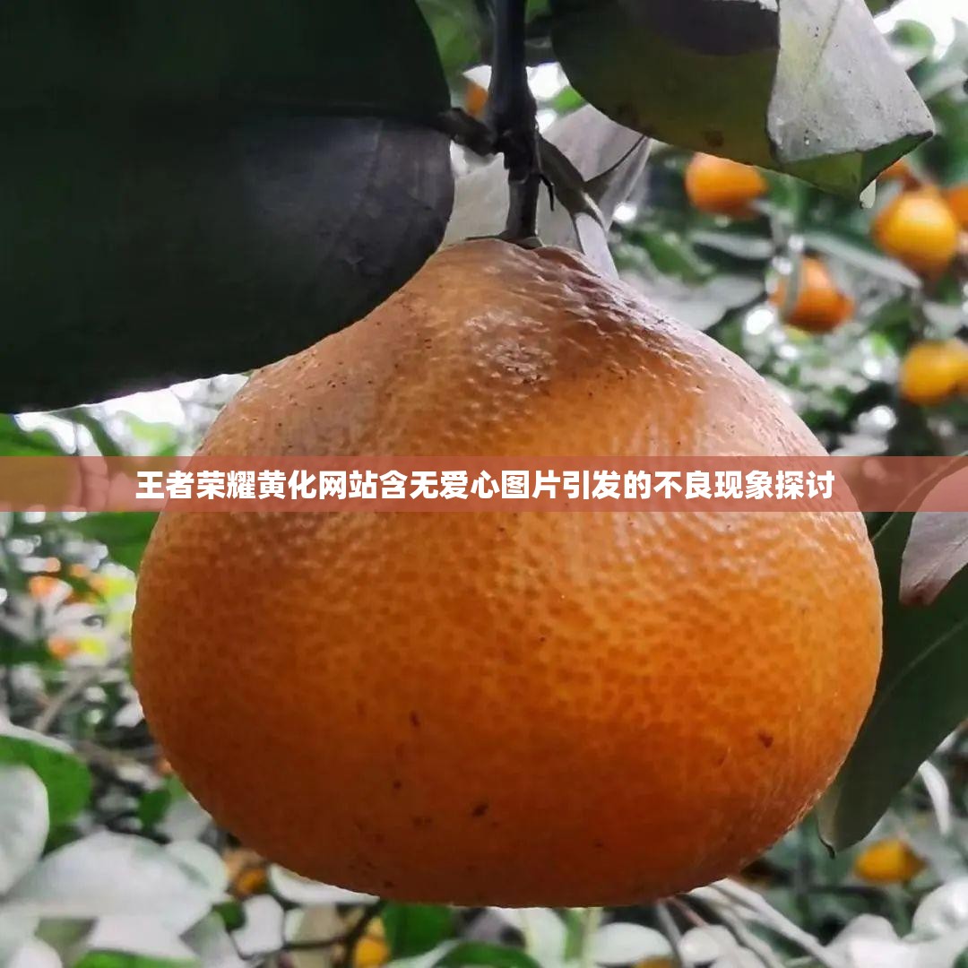 王者荣耀黄化网站含无爱心图片引发的不良现象探讨