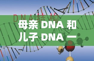 母亲 DNA 和儿子 DNA 一样不：探究亲子遗传的深层奥秘
