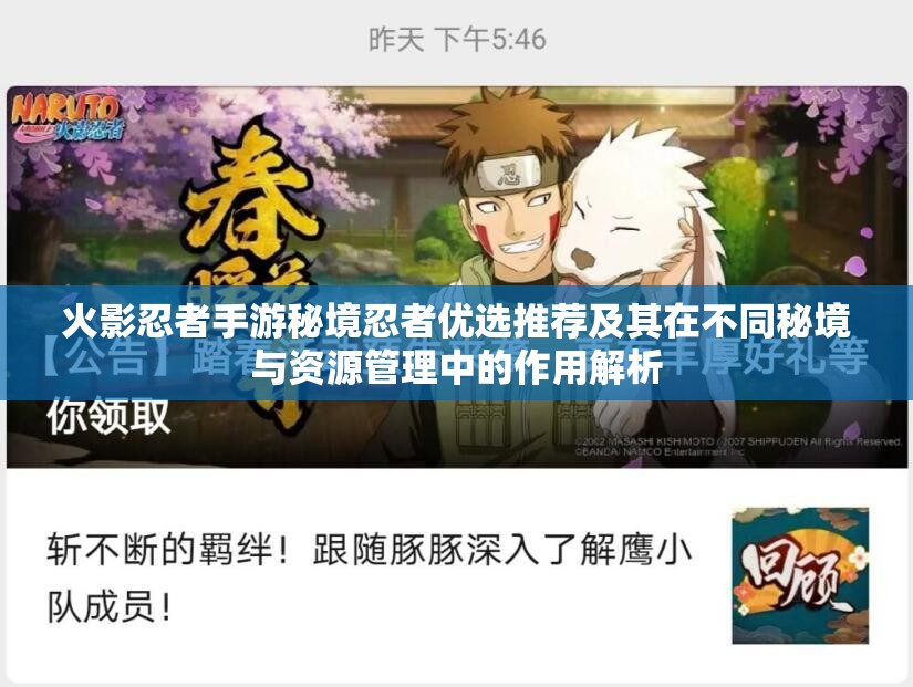 火影忍者手游秘境忍者优选推荐及其在不同秘境与资源管理中的作用解析