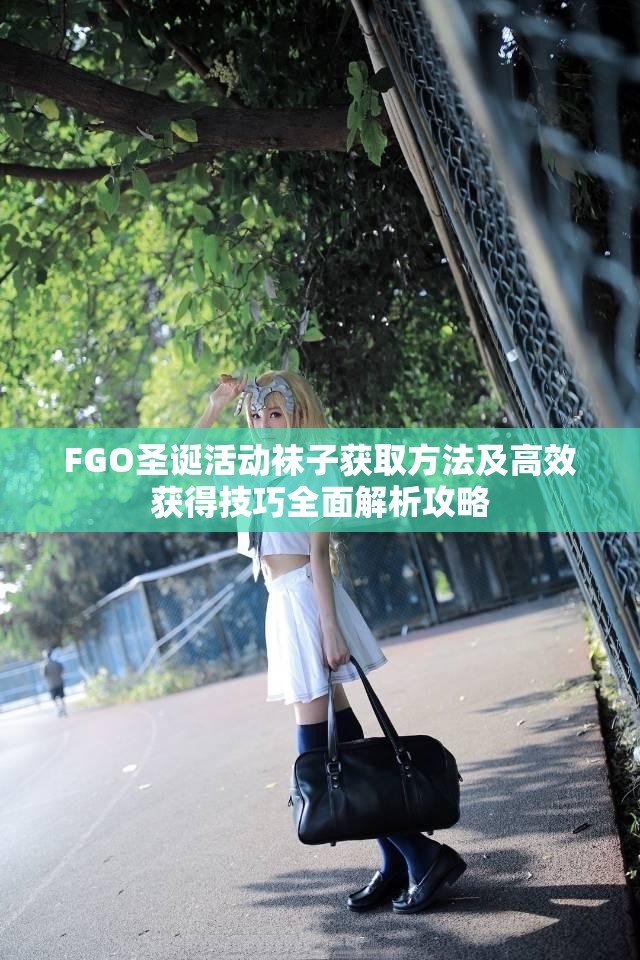 FGO圣诞活动袜子获取方法及高效获得技巧全面解析攻略