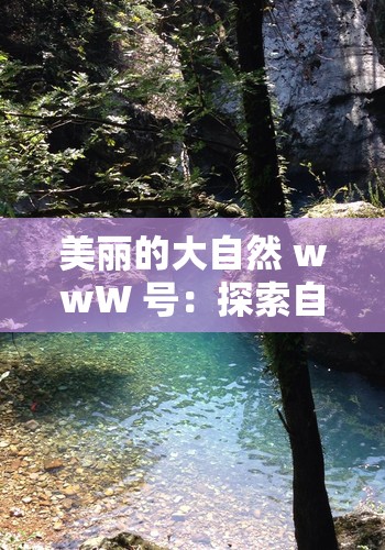 美丽的大自然 wwW 号：探索自然奇观