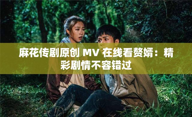 麻花传剧原创 MV 在线看赘婿：精彩剧情不容错过