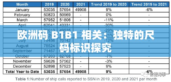 欧洲码 B1B1 相关：独特的尺码标识探究
