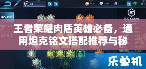 王者荣耀肉盾英雄必备，通用坦克铭文搭配推荐与秘籍