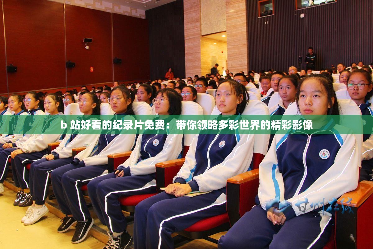 b 站好看的纪录片免费：带你领略多彩世界的精彩影像