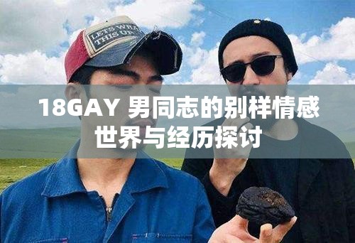 18GAY 男同志的别样情感世界与经历探讨