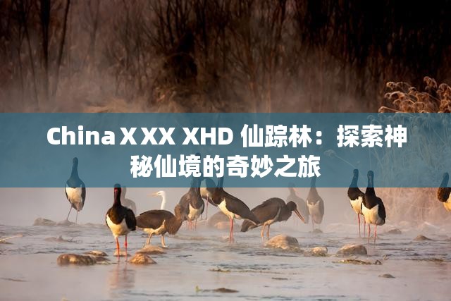 ChinaⅩXX XHD 仙踪林：探索神秘仙境的奇妙之旅