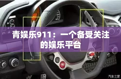 青娱乐911：一个备受关注的娱乐平台