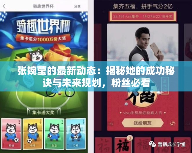 张婉莹的最新动态：揭秘她的成功秘诀与未来规划，粉丝必看