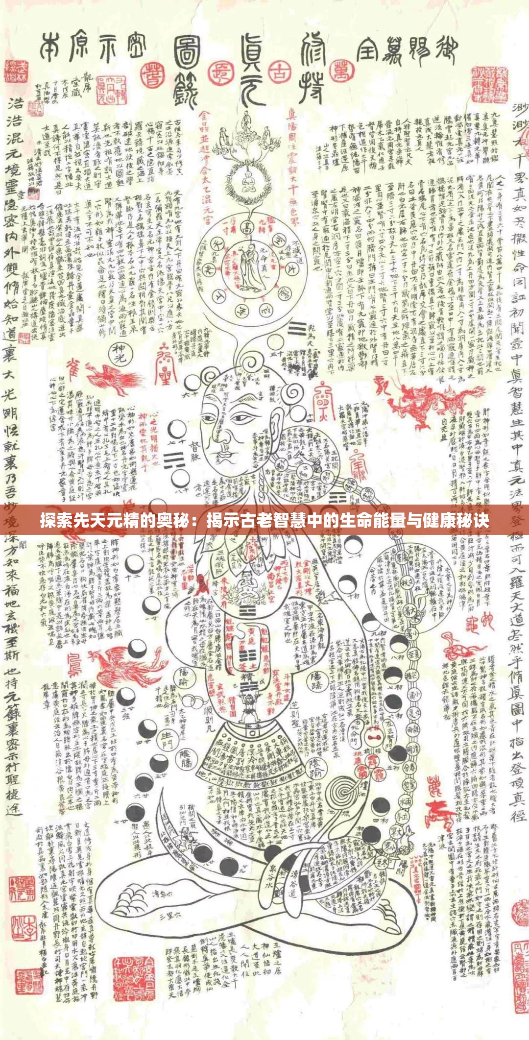 探索先天元精的奥秘：揭示古老智慧中的生命能量与健康秘诀