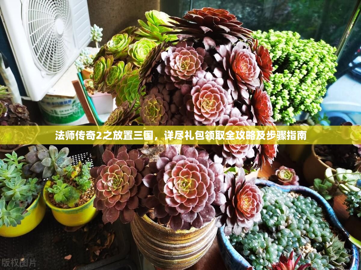 法师传奇2之放置三国，详尽礼包领取全攻略及步骤指南