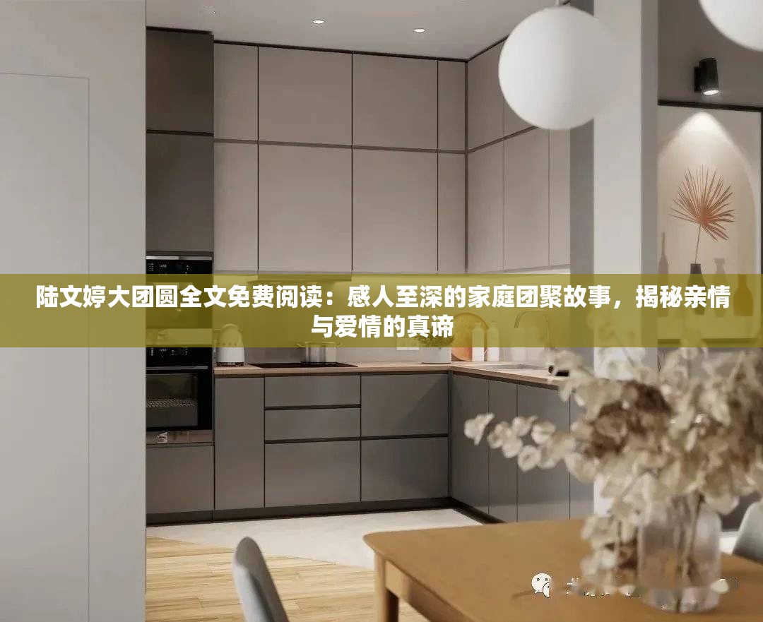 陆文婷大团圆全文免费阅读：感人至深的家庭团聚故事，揭秘亲情与爱情的真谛