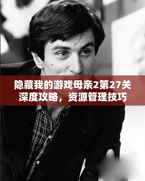 隐藏我的游戏母亲2第27关深度攻略，资源管理技巧与最大化价值策略