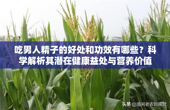 吃男人精子的好处和功效有哪些？科学解析其潜在健康益处与营养价值