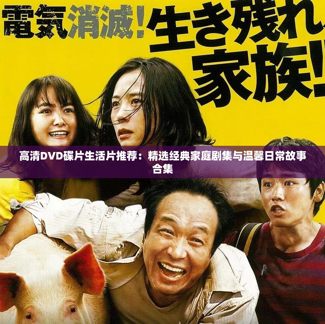 高清DVD碟片生活片推荐：精选经典家庭剧集与温馨日常故事合集