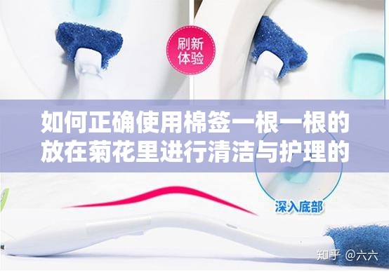 如何正确使用棉签一根一根的放在菊花里进行清洁与护理的详细步骤与注意事项