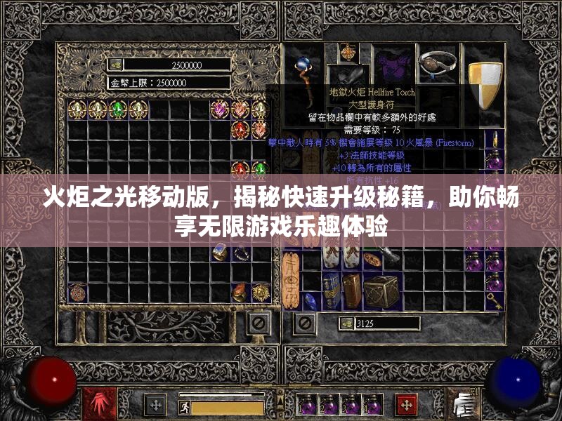 火炬之光移动版，揭秘快速升级秘籍，助你畅享无限游戏乐趣体验
