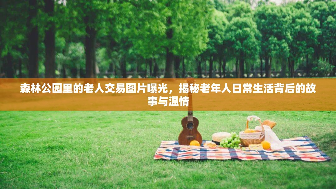 森林公园里的老人交易图片曝光，揭秘老年人日常生活背后的故事与温情