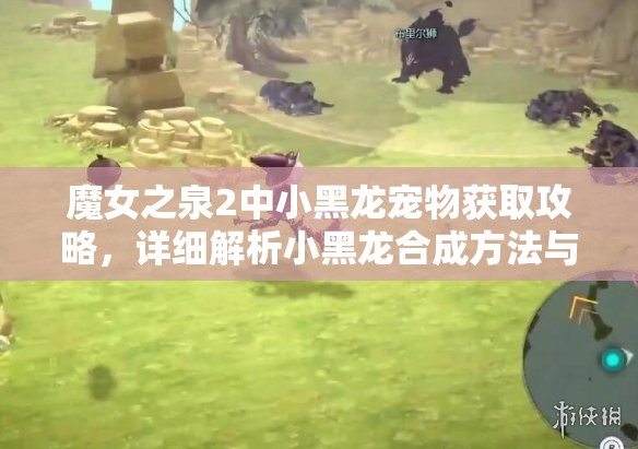 魔女之泉2中小黑龙宠物获取攻略，详细解析小黑龙合成方法与步骤