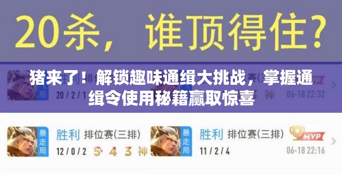 猪来了！解锁趣味通缉大挑战，掌握通缉令使用秘籍赢取惊喜