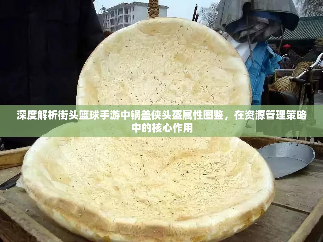 深度解析街头篮球手游中锅盖侠头盔属性图鉴，在资源管理策略中的核心作用