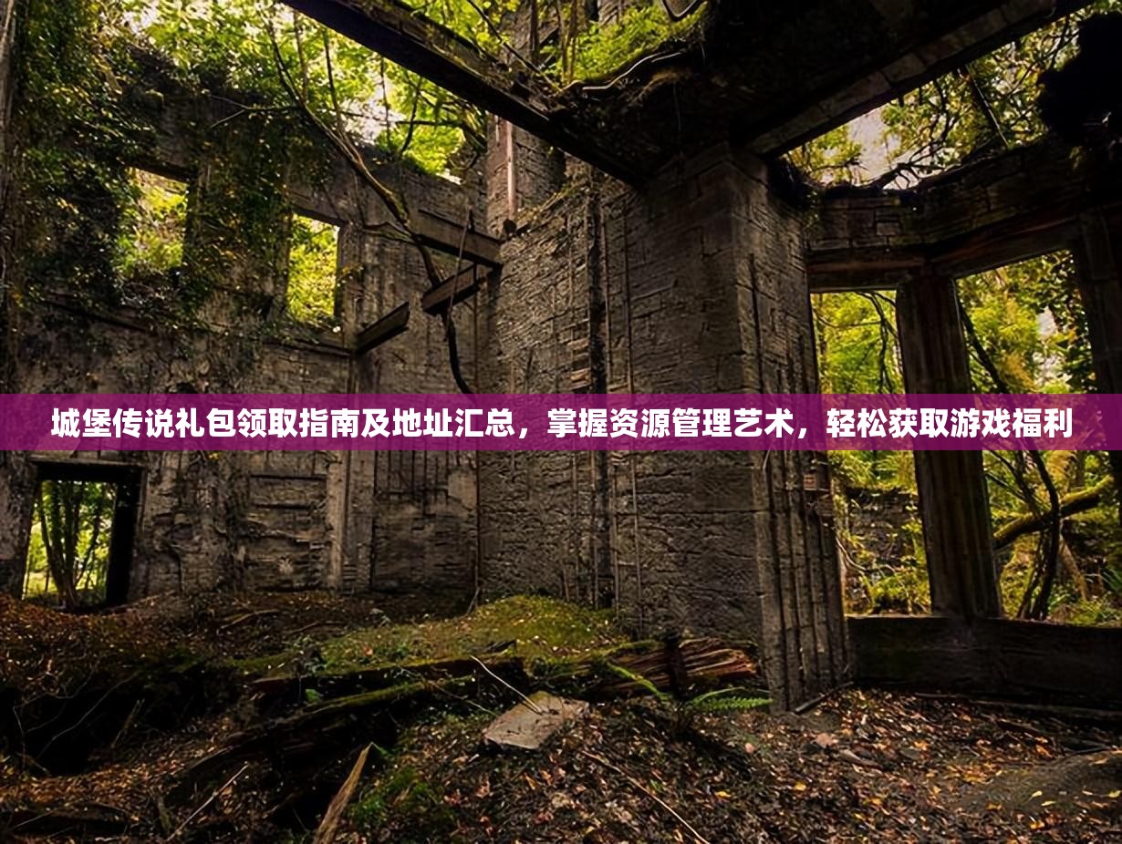 城堡传说礼包领取指南及地址汇总，掌握资源管理艺术，轻松获取游戏福利
